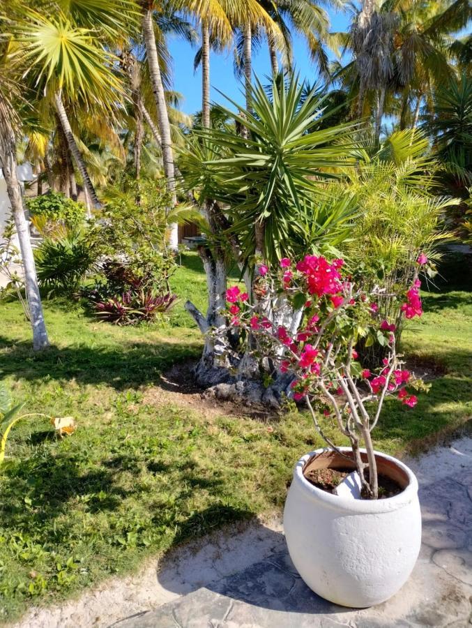 Alito Tulum Hotel Экстерьер фото