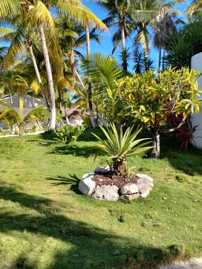 Alito Tulum Hotel Экстерьер фото